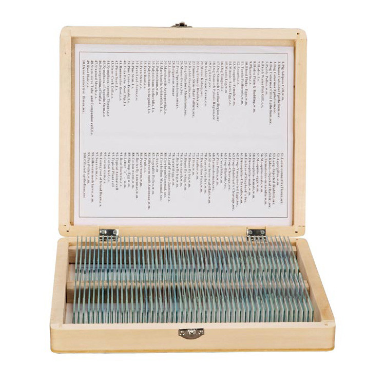 100pcs/set Prepared Microscope Slides Specimens Slides Set with Wooden Case