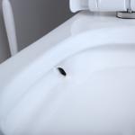 Commercial Ada Bathrooms Toilets For Physically Handicapped Challenged Person