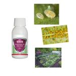 Liquid Chemical Agriculture Insecticide 30% Thiamethoxam Pesticide Spray Aphid