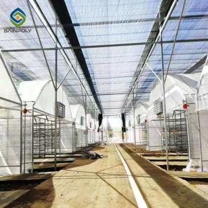 Quality Herbs 200 Micron PE 30m Light Deprivation Greenhouse wholesale
