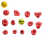 Max Capacity 100-500kg Climbing Bouldering Wall Holds for 6-55 Years Age Group