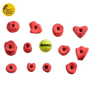 Quality Max Capacity 100-500kg Climbing Bouldering Wall Holds for 6-55 Years Age Group Supply wholesale