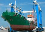 Odm 10 Tons To 1000 Tons Mobile Boat Hoist Crane