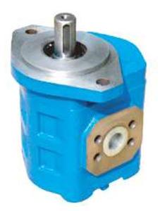 Quality CBGJ1 Cast Iron Pump Industrial Gear Pump High Durability Reliable wholesale