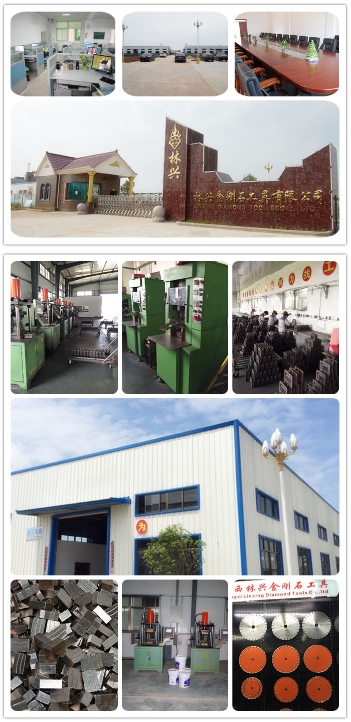High Speed Multi Diamond Segment for Soft Granite Cutting Tools 24*8.4/7.6*15mm 6.5mm
