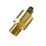 M10 Copper Head Temperature Switch
