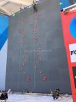 2430G Multi Color Climbing Holds Top Choice for Training Center Facility