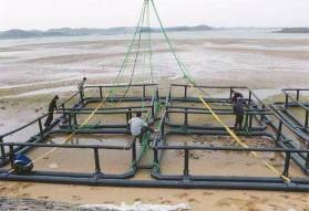 Quality BSI Farm PE100 Fish Net Cage Diameter Customized wholesale
