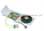 Small Recordable sound chip for Greeting Card , Wedding , Valentine′s Day