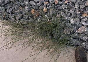 Quality Scour Resistant Retaining Wall 2.7mm Plastic Coated Mesh wholesale