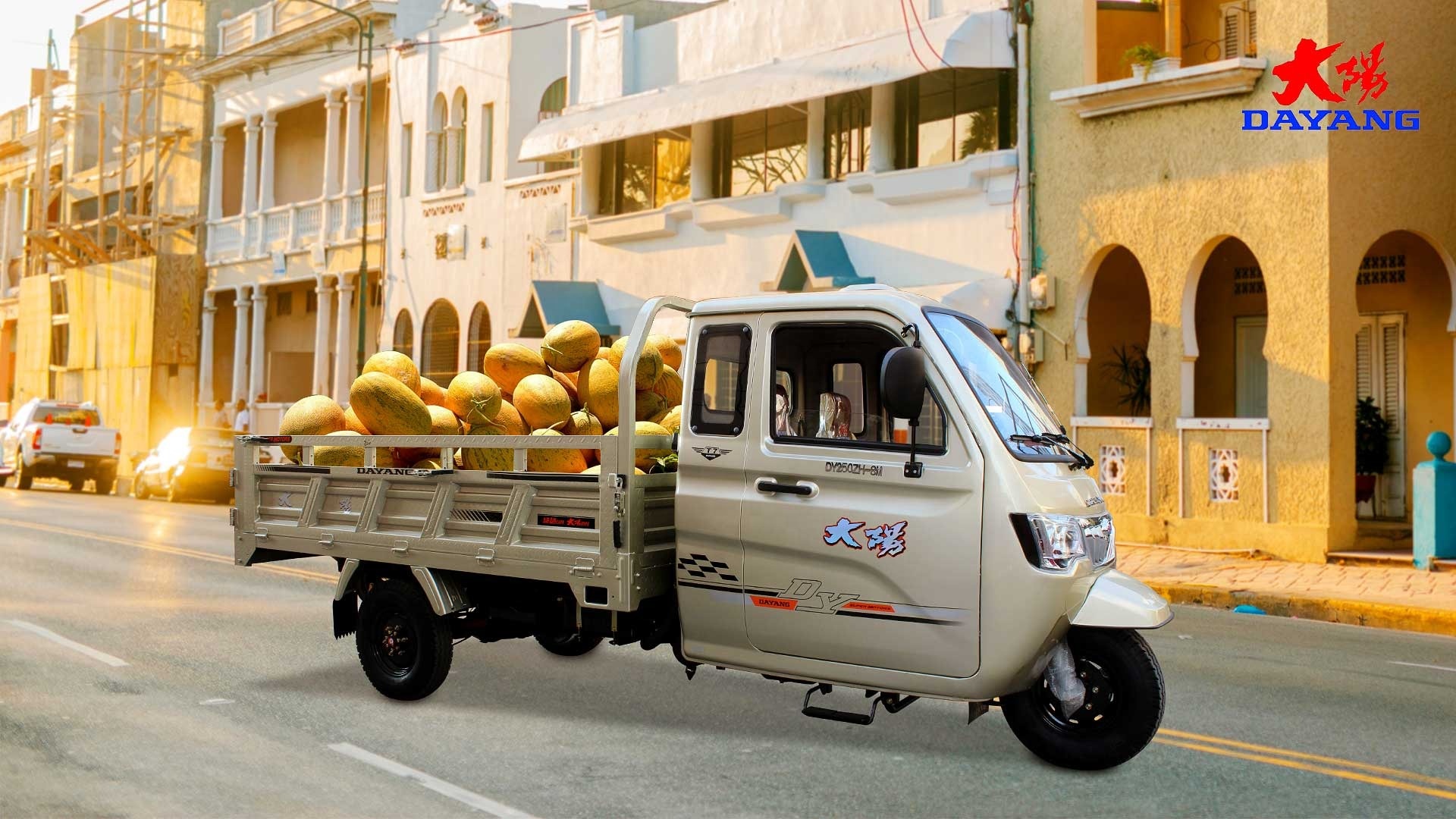 Affordable and Motorized Tricycles for Adults Maximum Speed ≥70Km/h Displacement 250cc