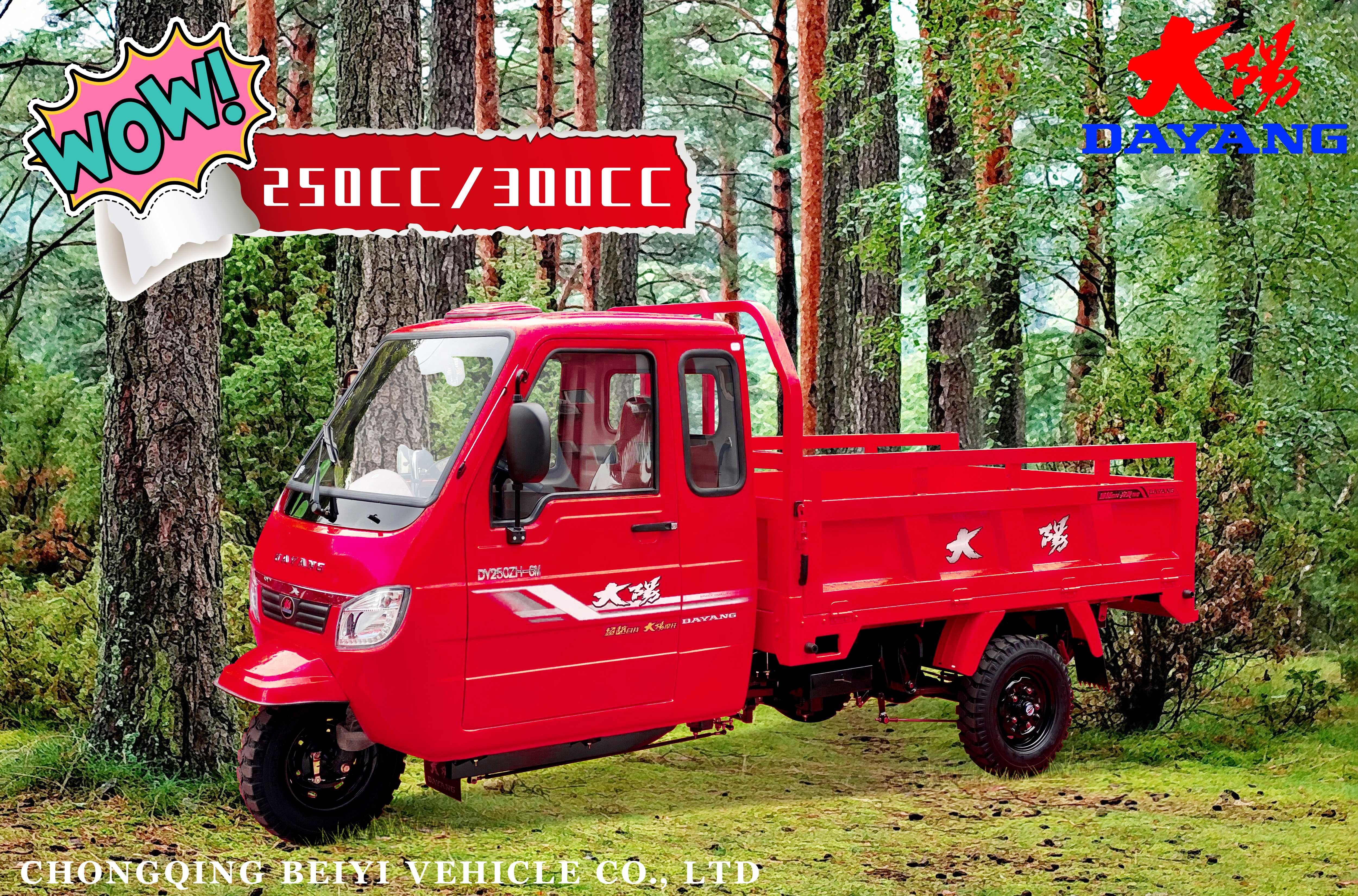 Easy Maneuverability Gasoline Motorized Tricycle for Adults 1 Passenger Cargo Tricycle