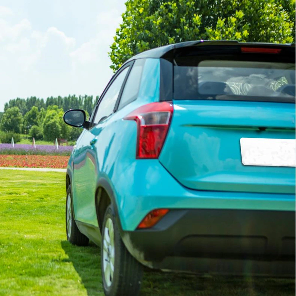 China Supplier Electric Mini Vehicle Wholesale Cheap Price New Energy Car for Hot Sale