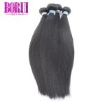 Natural Straight Unprocessed Brazilian Virgin Human Hair Bundle 100G