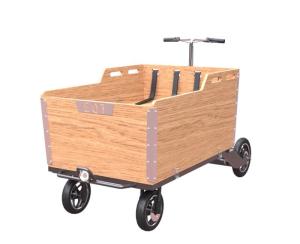Quality Stainless Steel 25° Climbing Load 500KG 4 Wheel Cargo Bike wholesale