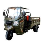 Powerful 200cc Water Cooling Engine Enclosed Cabin Motorcycle Tricycle for