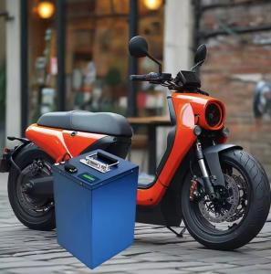 Quality Custom 20S 60V 30Ah Lithium LiFePO4 Battery Auto Rickshaw Electric Motorbike Battery wholesale