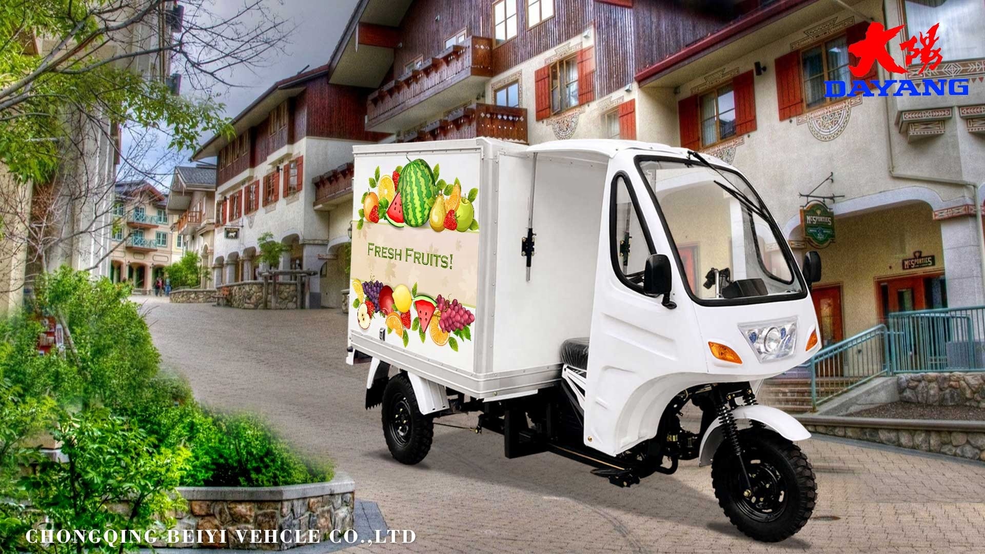 50*100 Chassis 9A 12V Cargo Motor Tricycle for Heavy Cargo Transportation