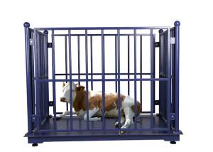 Quality Dynamic ODM 100Kg Weighing Scale For Live Pigs wholesale