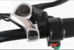 Lightweight 36V 250W Collapsible Electric Bike