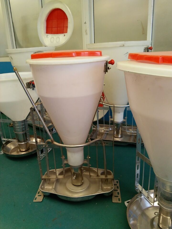 Stainless Steel And Plastic Automatic Pig Feeder , Wet Dry Hog Feeders