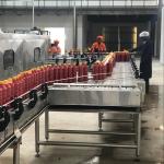 Low Energy Tomato Processing Machine Forced Circulation Evaporator 200KG Weight