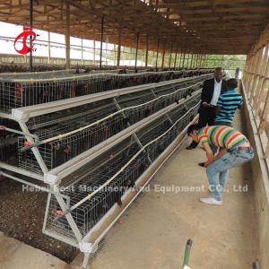 Quality A Type 3 Tiers Layer Chicken Battery Cages 120 Birds 450cm2 Star wholesale