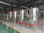 500L Stainless Steel 304 Conical Beer Fermentation Tank Beer Fermenting