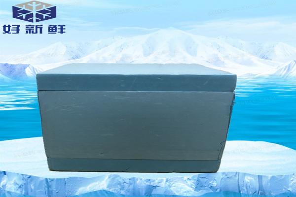 Custom Vaccine Miniaturization Medical Xps Insulation Board Cooler Box Rigid
