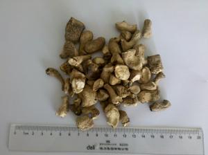 Quality HACCP Standard Dried Shiitake Mushrooms / Chinese Dried Mushrooms Leg Cubes wholesale