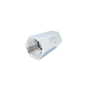 Quality Stainless Steel 304 Double Femal Thread Check Valve Request Sample 1 Piece Min.Order wholesale