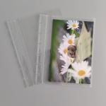 ODM Loose Leaf Card Collection Binder Mushroom Hole Dustproof
