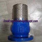 DN100 PN16 GGG50 ductile iron foot valve supplier