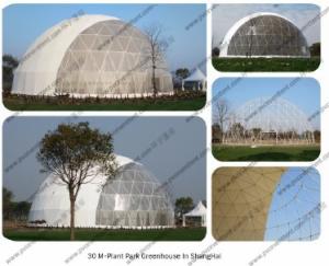 Quality Steel Circle Tube Outdoor Dome Tent Half Sphere Diamater 30m For Celebration wholesale