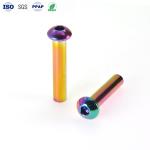 Custom Pin Shaft Screws Pan Head Stainless Hex Head Screws PVD Surface Treatment