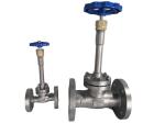 Flange Connection 1 Year Warranty DN200 Cryogenic Globe Valve