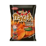 Broaden your wholesale choices by including Kalamojo Long Potato Sticks - Spicy
