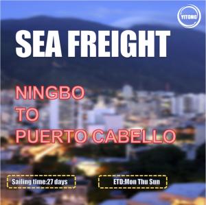 Quality HPL Liner International Sea Freight From Ningbo To Puerto Cabello Venezuela wholesale