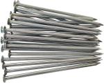 10inch Common Nail Galvanized Metal Spiral Nails for Artificial Grass Landscape