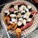 Crimped Outdoor Travel Disposable Bbq Mesh