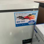 88L -86c Low Temperature Freezer Stainless Steel Inner 10mm Foaming Door Cooling