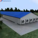 Prefab Steel Structure Poultry House Chicken House Farming Shed Design House