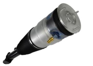 Quality 3600640300A Automobile Shock Absorber Air Ride Suspension Spring Strut Tesla Model wholesale