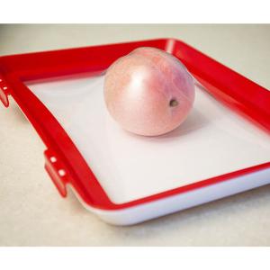 Quality Freezer Safe 20x22.5cm PP Food Preservation Clever Tray wholesale