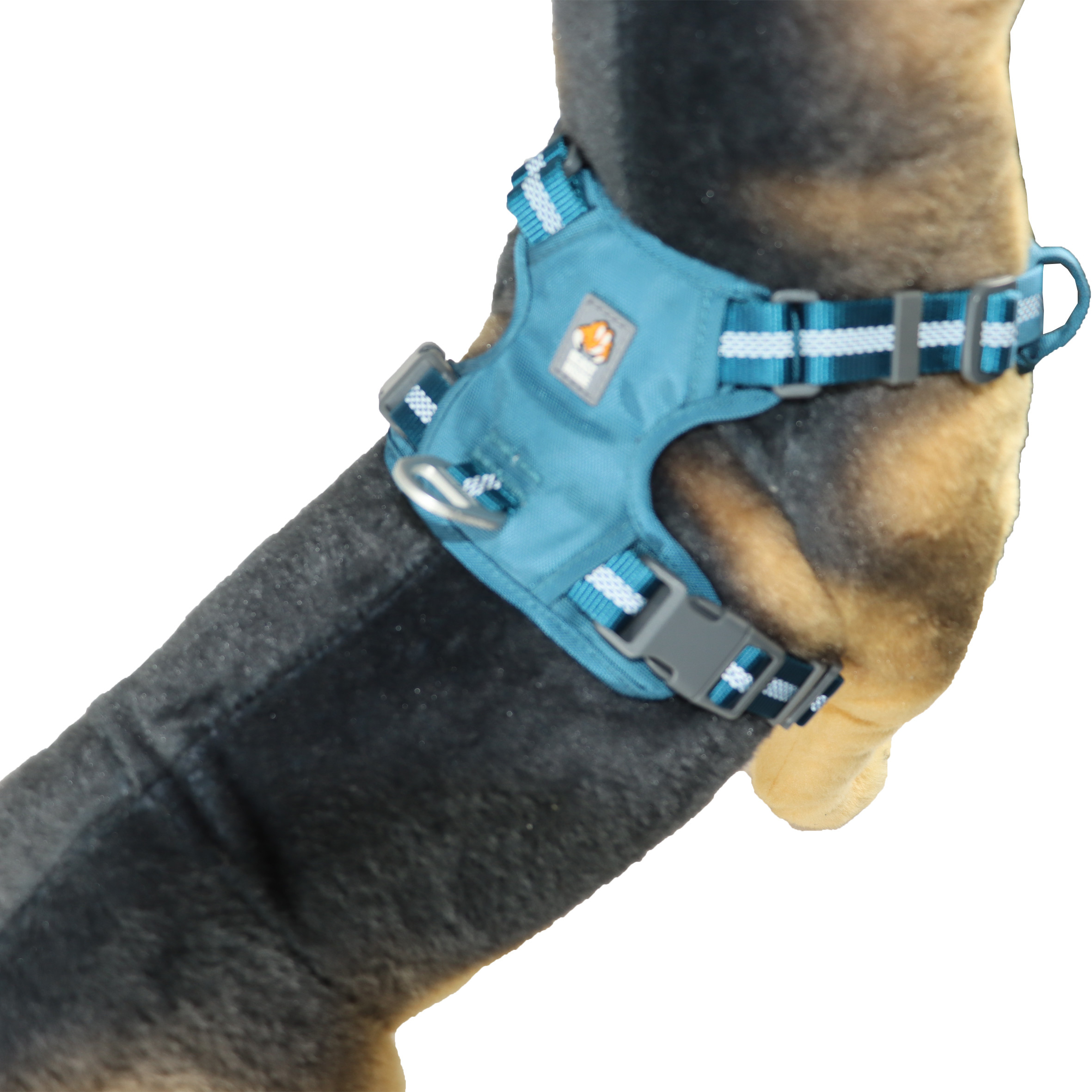 16 Inches Custom Blue Emergency Escape Proof Dog Harness For Small Dogs Tear Proof Anti Escape