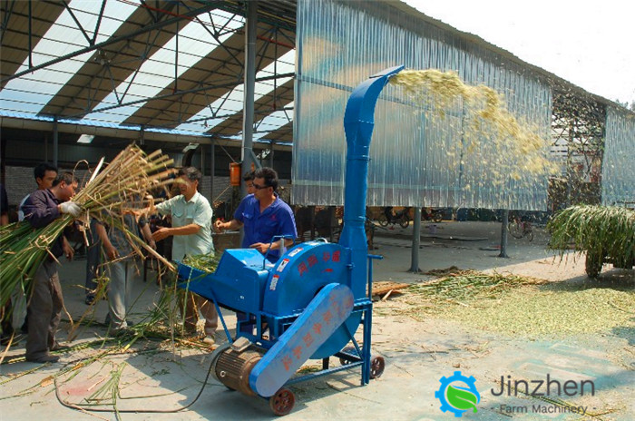 Automatic Feeding Silage Chaff Cutter Straw Crusher Forage Hay Cutter For Animal Feed Processing