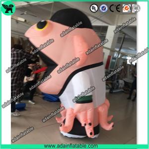 Quality Holiday Parade Inflatable Cartoon Costume Walking Inflatable Monster Moving Fish Mascot wholesale