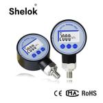 High quality digital oil air hydraulic fuel pressure gauge with alarm LED