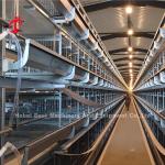 Battery Layer Chicken Cages Automatic Egg A / H Type Rose