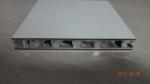 Aluminum Honeycomb Panel
